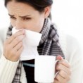 /album/fotogaleria/immune-system1-jpeg/